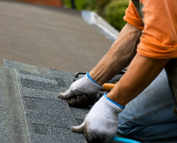 Best Roof Waterproofing Services  in Amelia Court House, VA