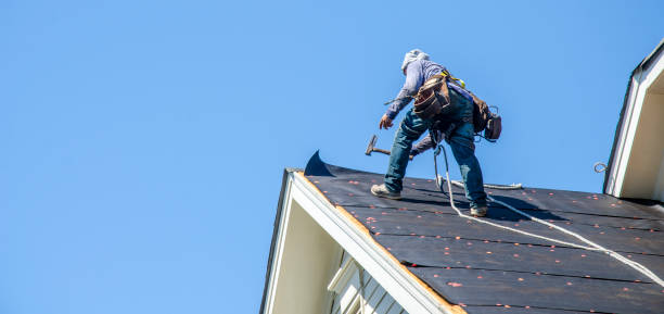 Best Roof Leak Repair  in Amelia Court House, VA